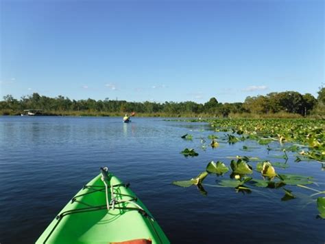 Winter Park, FL Chain of Lakes Paddling. E